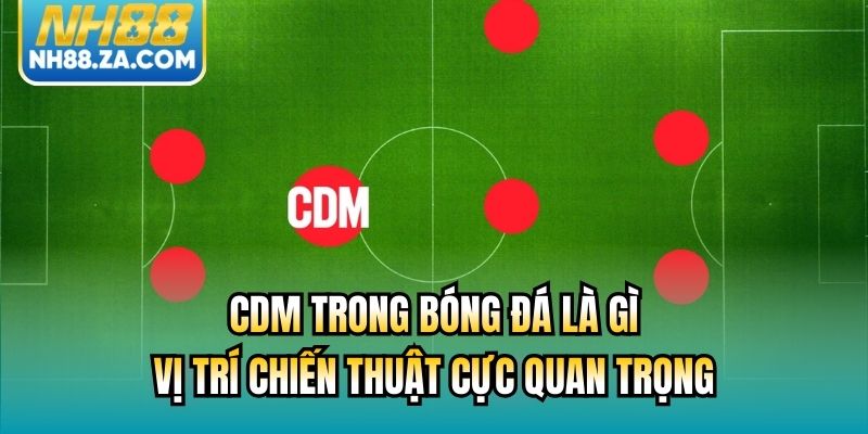 CDM Trong Bóng Đá Là Gì - Vị Trí Chiến Thuật Cực Quan Trọng