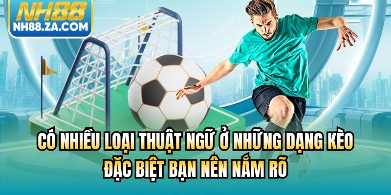 Có nhiều loại thuật ngữ ở những dạng kèo đặc biệt bạn nên nắm rõ