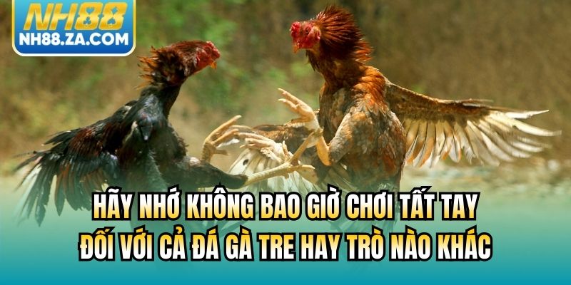 Hãy nhớ không bao giờ chơi tất tay đối với cả đá gà tre hay trò nào khác