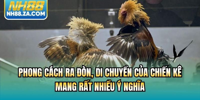 Phong cách ra đòn, di chuyển của chiến kê mang rất nhiều ý nghĩa